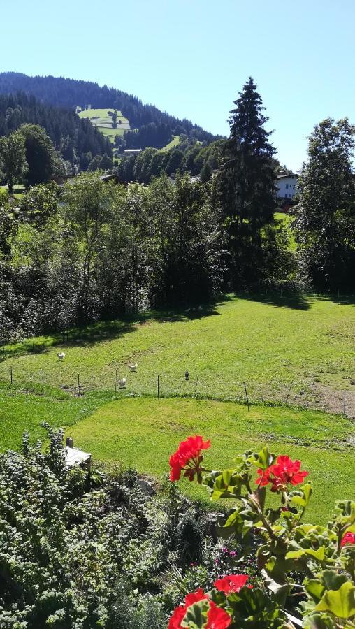 Appartement Maurer Niederau Kültér fotó